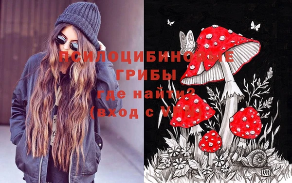 соль ск Алексеевка
