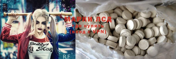 прущие грибы Алексин