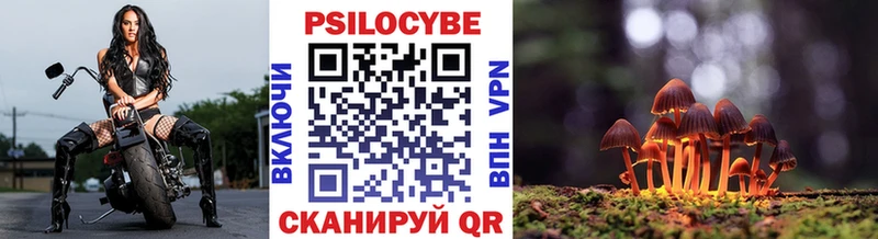 купить наркотик  Бирюч  мега как войти  Галлюциногенные грибы ЛСД 